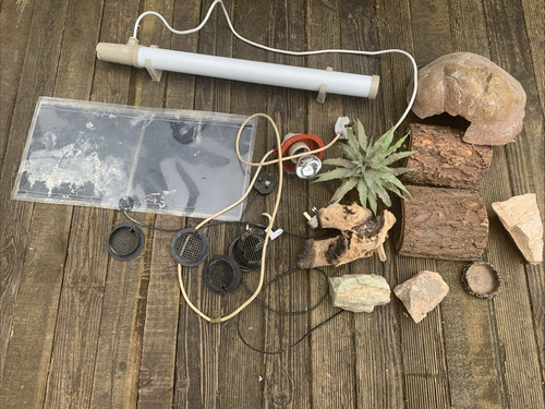 Reptile vivarium accessories - reptile,