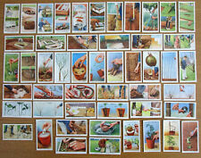 WILLS  1938  FULL SET OF FIFTY  ORIGINAL VINTAGE CIGARETTE CARDS  GARDEN HINTS 