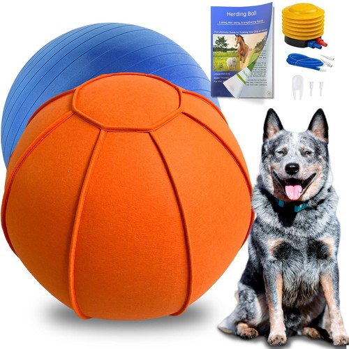 Herding ball for dogs - for,