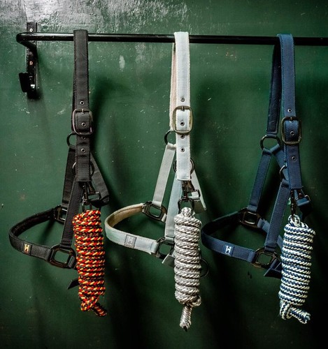 Horseware newmarket lightly - horseware,