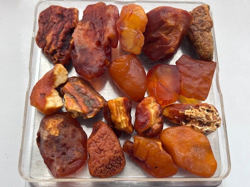 Genuine baltic amber natural - baltic,