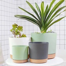 Plant Pot Large Circular Plastic Succulent Indoor Flower Planter Drainage Tray