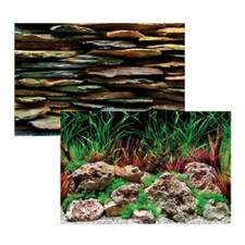 Seaview Slateways / Aqua Wild