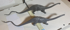 NP131 Invicta Natural History