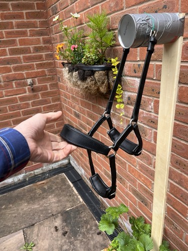Fairfax black drop noseband - black,