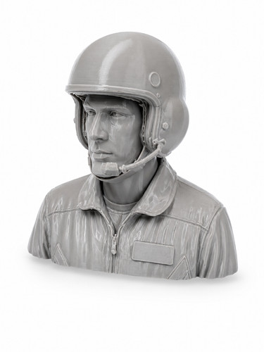 Generic sports pilot bust - sports,