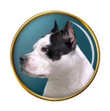 American Pit Bull Terrier Dog