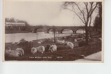 RPPC Sheep grazing at The Eden