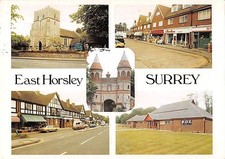 BR91784 east horsley surrey