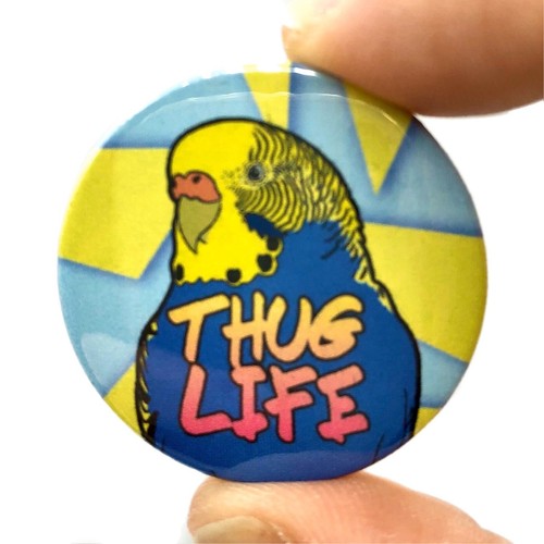Blue budgie thug life bird - life,