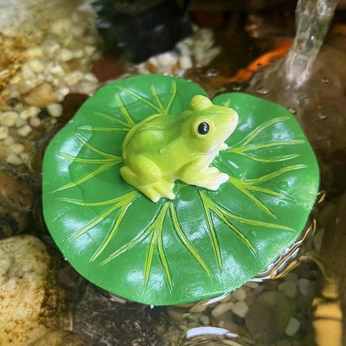 Floating water lily - water, leaf