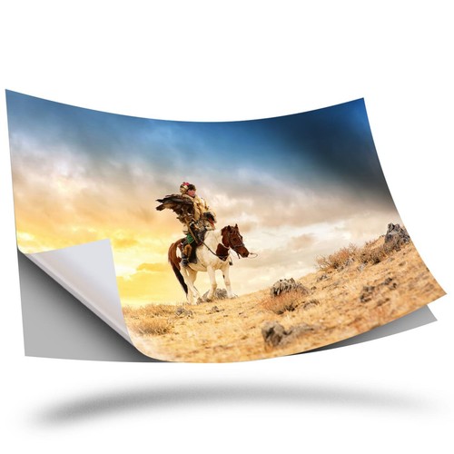 Vinyl sticker kazakh - 1, x