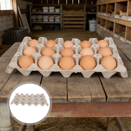 Pcs paper egg - pcs, tray
