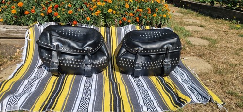 Harley davidson softail - harley,