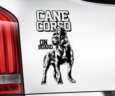 Cane Corso - Car Window