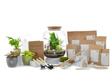Large DIY Terrarium Kit with 32cm Jar Glass Garden Containers Greenhouse