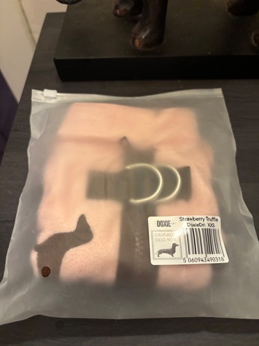 Sausage dog box doxiedri - dog,