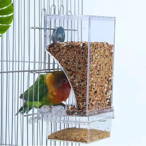 Bird feeders parrot feeder - feeders,