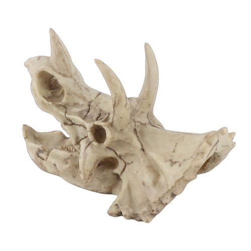Resin dinosaur triceratops - resin,