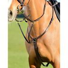 Kincade Classic 3 Point Breastplate with Running Martingale - Brown