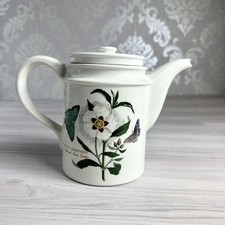 Portmeirion Botanic Garden