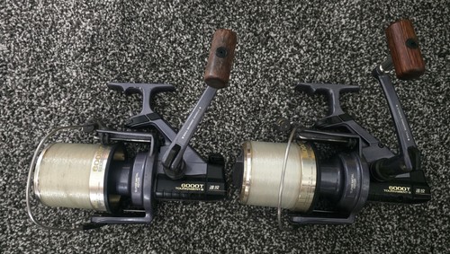Dawia tournament 6000 - 6000, t