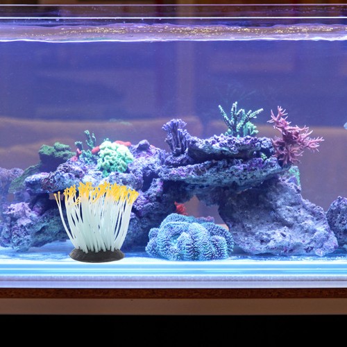 Sea anemone figurine - sea,