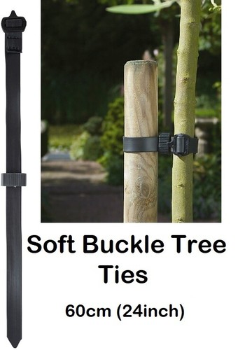 Soft buckle tree - soft,