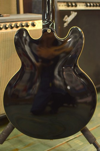 Epiphone sheraton guitar - sheraton, ii