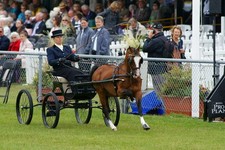 Photo A2 The South of England