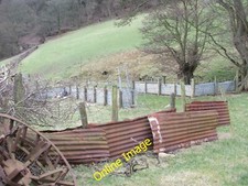 Photo 6x4 Basic sheep handling