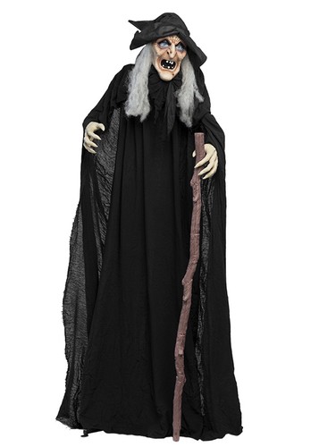 Halloween wicked witch - wicked,