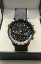 Citizen Eco Drive Red Arrows