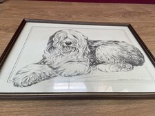 Vintage Old English sheep