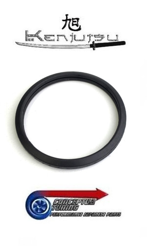 Thermostat ring gasket - thermostat, /