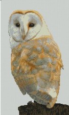 Barn Owl 5 Counted Cross Stitch Kit 15" x 9" FREE P&P B2454
