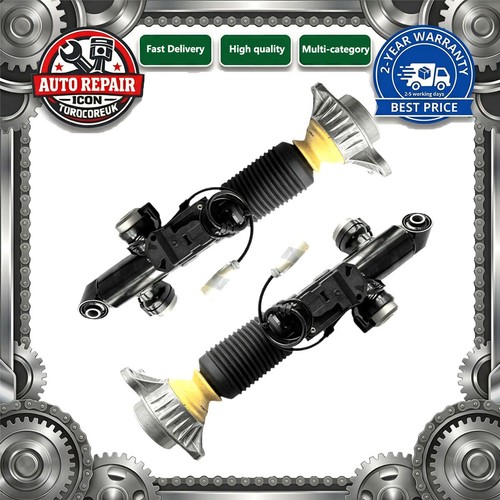 Rear shock absorbers struts - 2x,