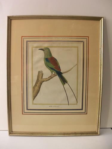 1770 hand tinted - 1770, engraving