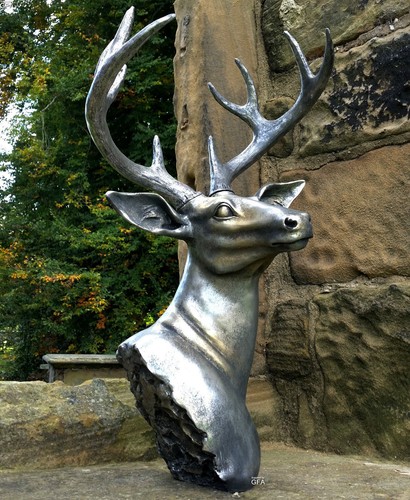 Adorable large stag - deer, elk