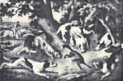 Hunting death the fox - death,