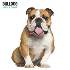 Bulldog 2026 Modern Calendar