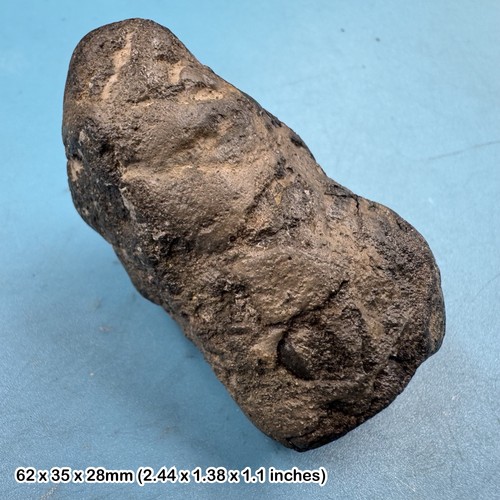 Ichthyosaur coprolite fossil - coprolite,