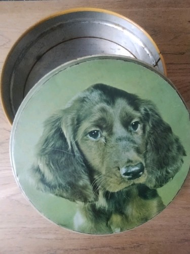 Vintage spaniel dog - vintage, cadbury
