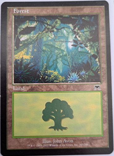 Forest onslaught mtg - forest,