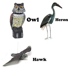 HAWK OWL & HERON DECOY BIRD