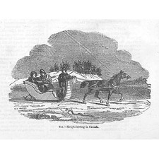CANADA Sleigh Driving - Antique Print 1851