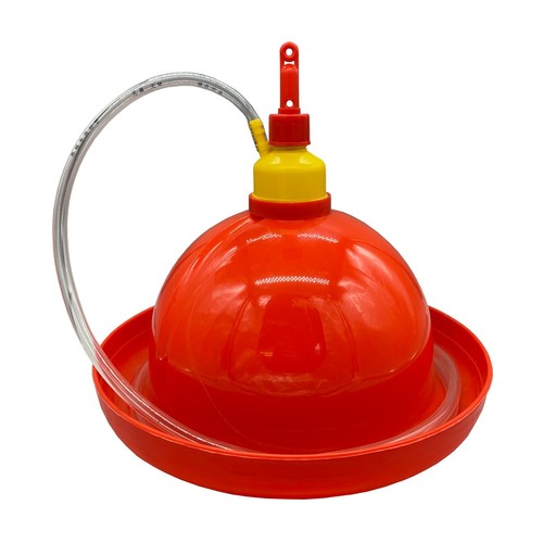 Automatic large chicken - large,