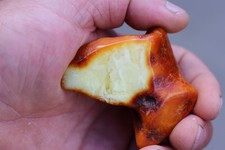 Natural White Baltic Amber