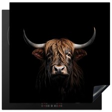 Induction Hob Cover Electric