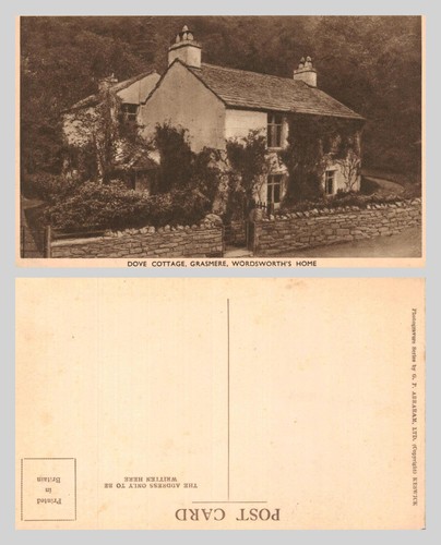 Vintage postcard dove - -,